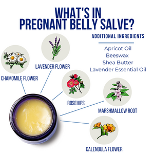 Pregnant Belly Salve 4 oz.